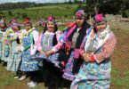 Interesting Facts About the Mapuche Tribe