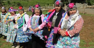 Interesting Facts About the Mapuche Tribe