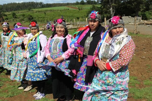 Interesting Facts About the Mapuche Tribe